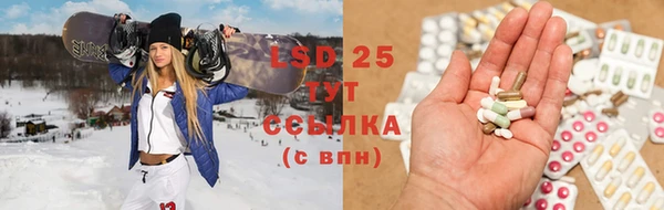 стаф Алексин