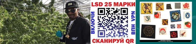 Марки NBOMe 1,5мг  Новоалександровск 