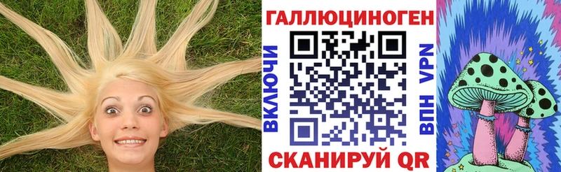 mega tor Новоалександровск Псилоцибиновые грибы мицелий наркота